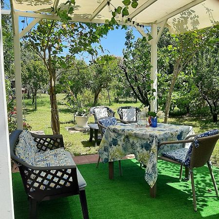 Tom E Jerry Bed and Breakfast Domus De Maria Buitenkant foto