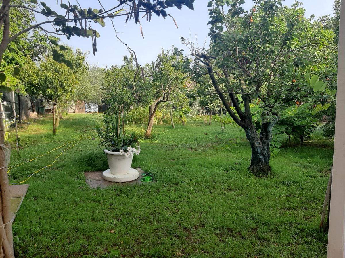 Tom E Jerry Bed and Breakfast Domus De Maria Buitenkant foto