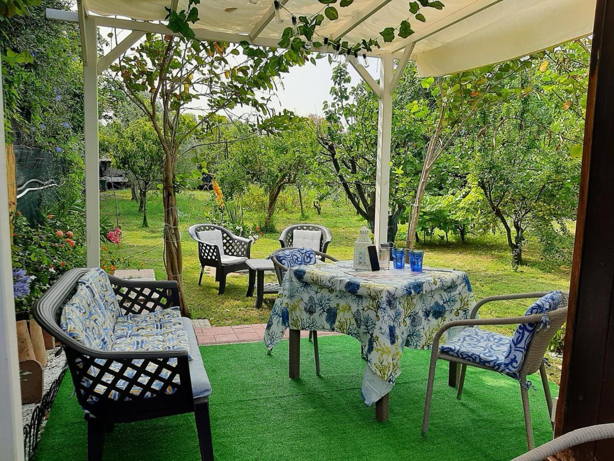 Tom E Jerry Bed and Breakfast Domus De Maria Buitenkant foto