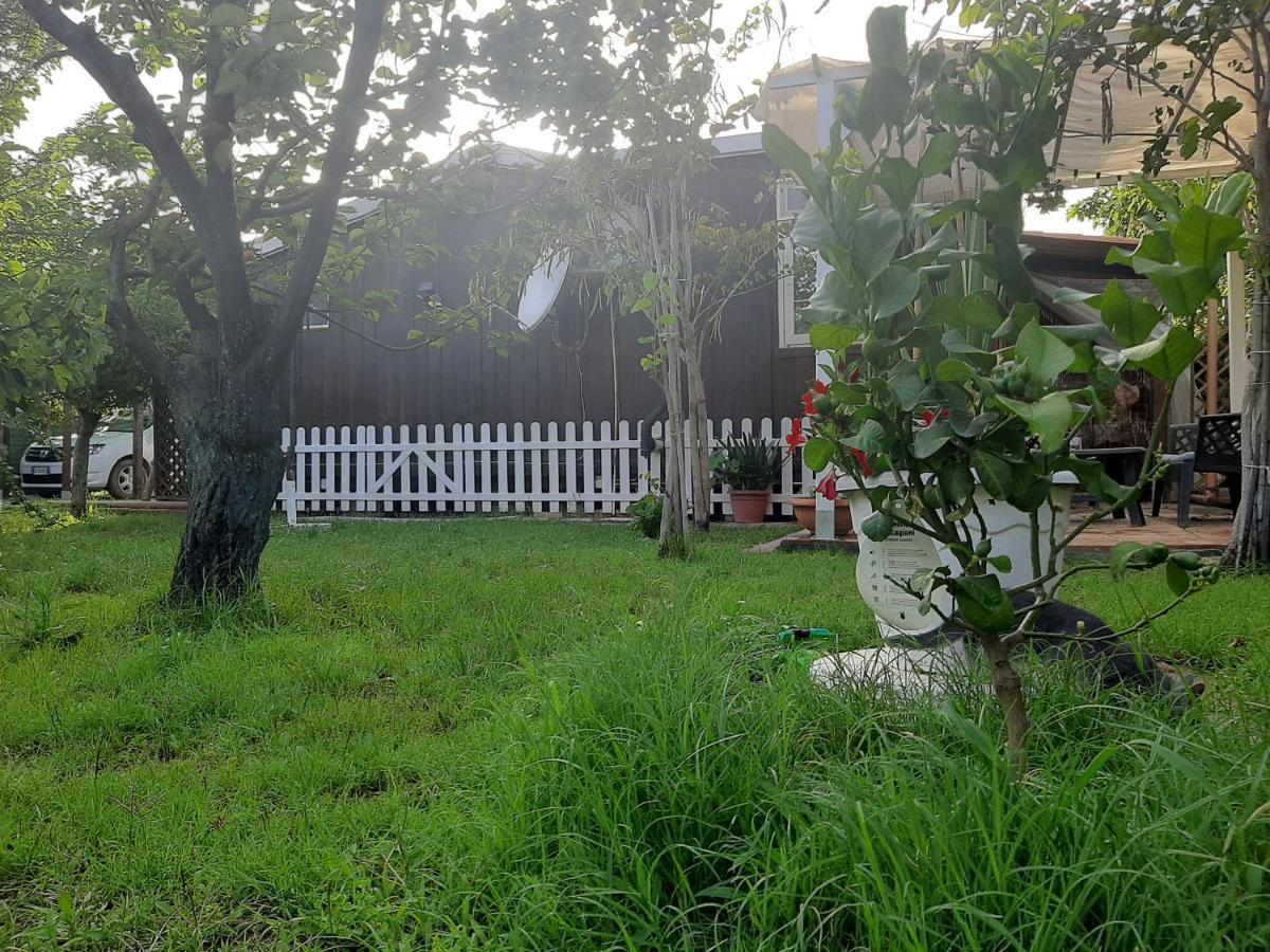 Tom E Jerry Bed and Breakfast Domus De Maria Buitenkant foto