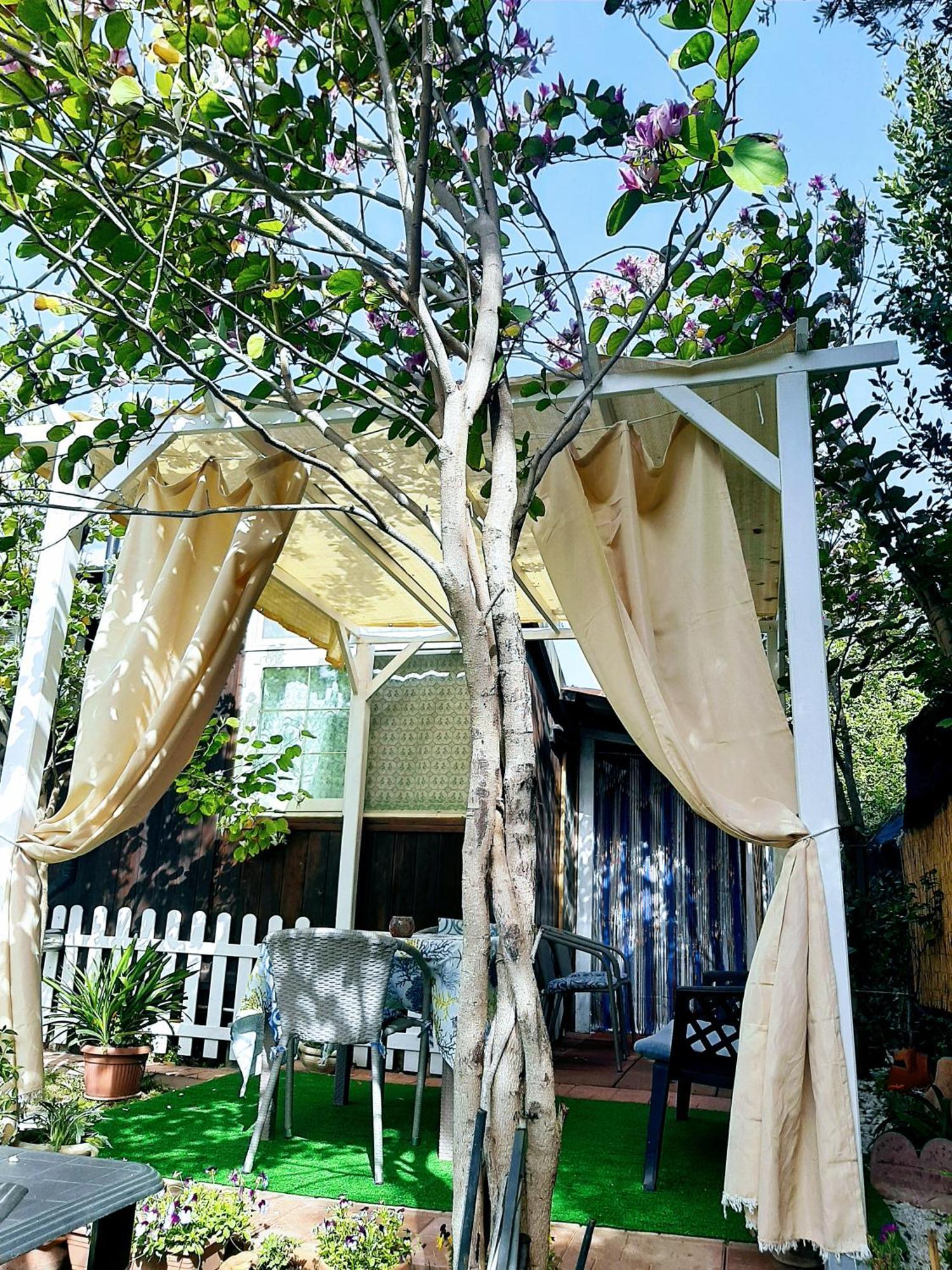 Tom E Jerry Bed and Breakfast Domus De Maria Buitenkant foto